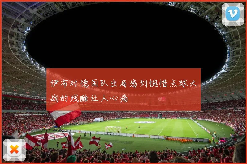 伊布对德国队出局感到惋惜点球大战的残酷让人心痛
