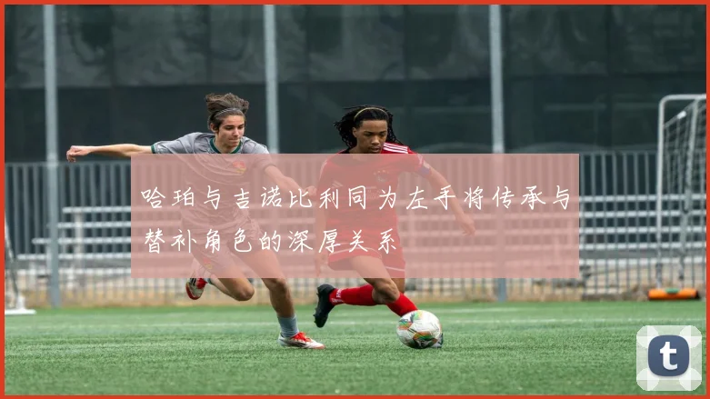 哈珀与吉诺比利同为左手将传承与替补角色的深厚关系